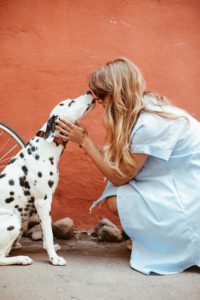 Assistance Animal Documentation